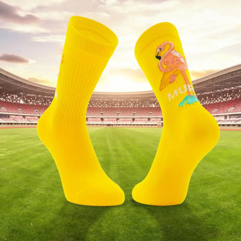 1 Pair Fitness Socks Anti-slip Unisex Foot Protector High Stretch Women Men Thermal Socks Basketball Socks for Camping
1 Pair Fitness Socks Anti-slip Unisex Foot Protector High Stretch Women Men Thermal Socks Basketball Socks for Camping