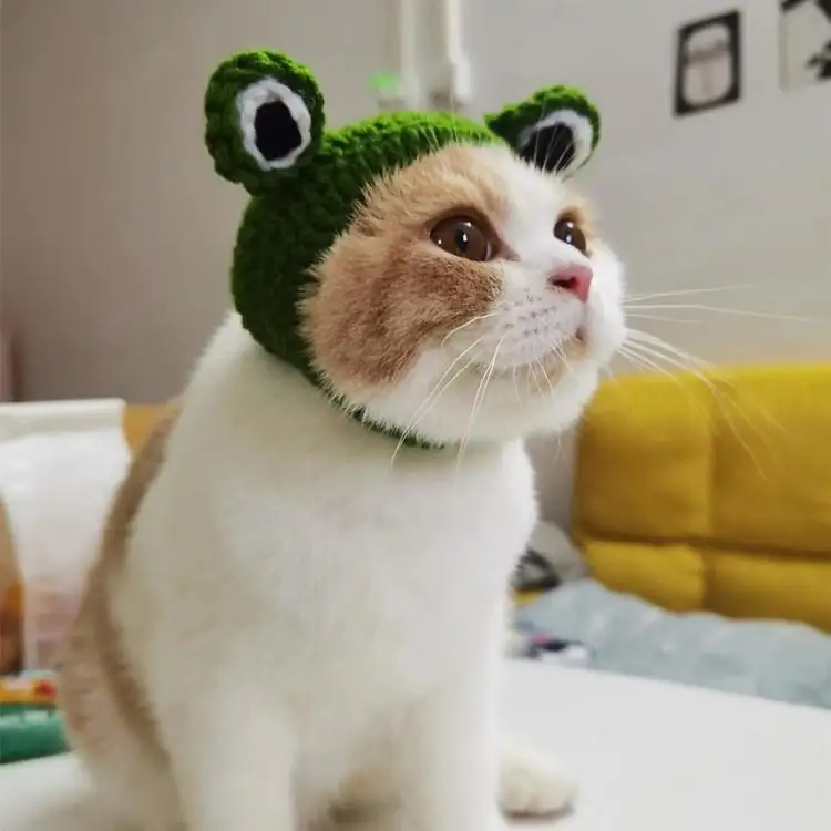 Pet Knitted Hat Creative Handmade Diy Frog-shape Hat For Cat Dog Warm Breathable Cap For Christmas Gifts
Pet Knitted Hat Creative Handmade Diy Frog-shape Hat For Cat Dog Warm Breathable Cap For Christmas Gifts