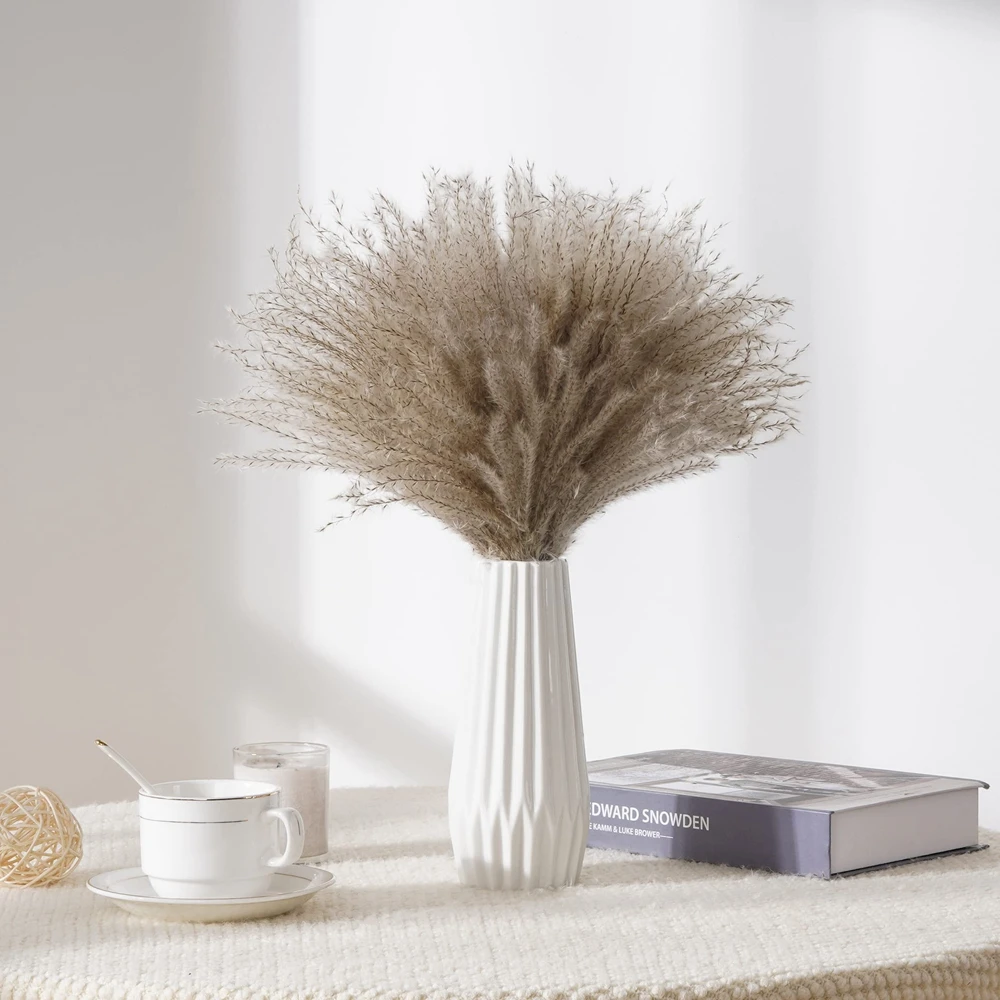 Natural Reed Pampas Grass Boho Decor for Vase Fluffy Pompas Grass Dried Boho Flower Wedding Floral Arrangements Room Decor
Natural Reed Pampas Grass Boho Decor for Vase Fluffy Pompas Grass Dried Boho Flower Wedding Floral Arrangements Room Decor