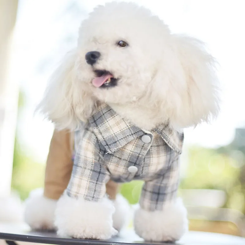 Cotton Padded Clothes for Dogs and Cats, Big Pocket Sweater, Suspenders, Teddy, Schnauzer, Four Leg Pants, Autumn and Winter
Cotton Padded Clothes for Dogs and Cats, Big Pocket Sweater, Suspenders, Teddy, Schnauzer, Four Leg Pants, Autumn and Winter
