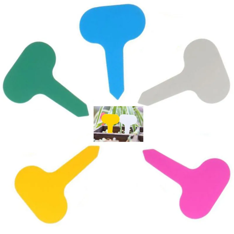 50/100pcs Colorful Plant Markers Garden Vegetable Tags Sign PVC Gardening Labels Stake on Soil Paint Sticks Waterproof
50/100pcs Colorful Plant Markers Garden Vegetable Tags Sign PVC Gardening Labels Stake on Soil Paint Sticks Waterproof