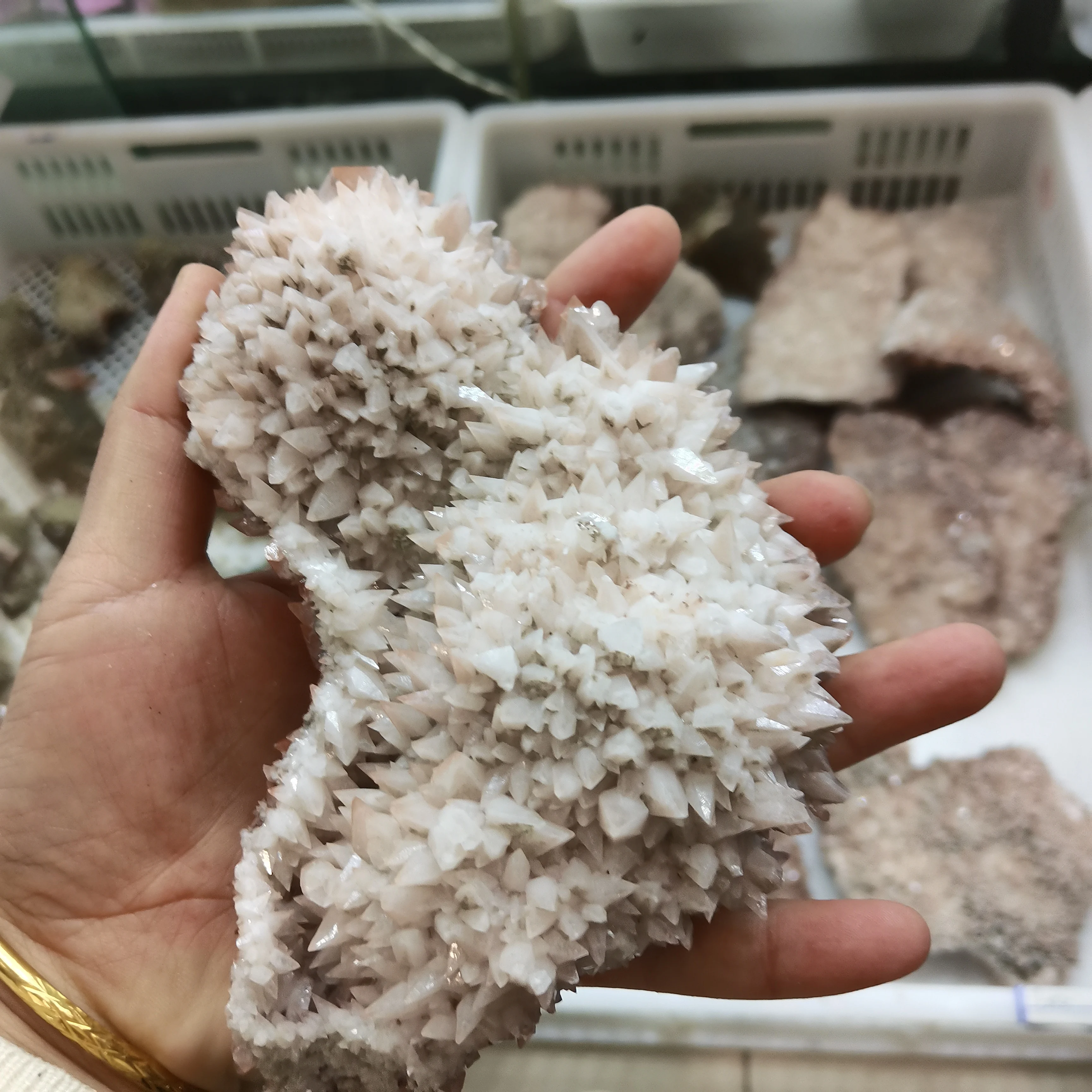 Rare naturalwolf tooth calcite cluster specimen crystal quartz flower clustChakra Healing Reiki Stone Specimen
Rare naturalwolf tooth calcite cluster specimen crystal quartz flower clustChakra Healing Reiki Stone Specimen