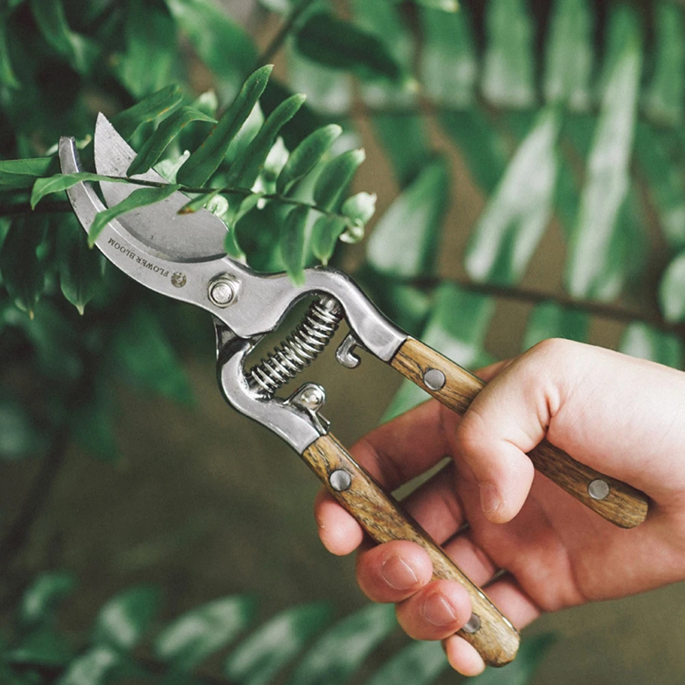 8.3 Inch Orchard Garden Hand Pruning Shear Garden Scissors Bypass Branches Secateurs Pruner Shear Cutter Professional
8.3 Inch Orchard Garden Hand Pruning Shear Garden Scissors Bypass Branches Secateurs Pruner Shear Cutter Professional