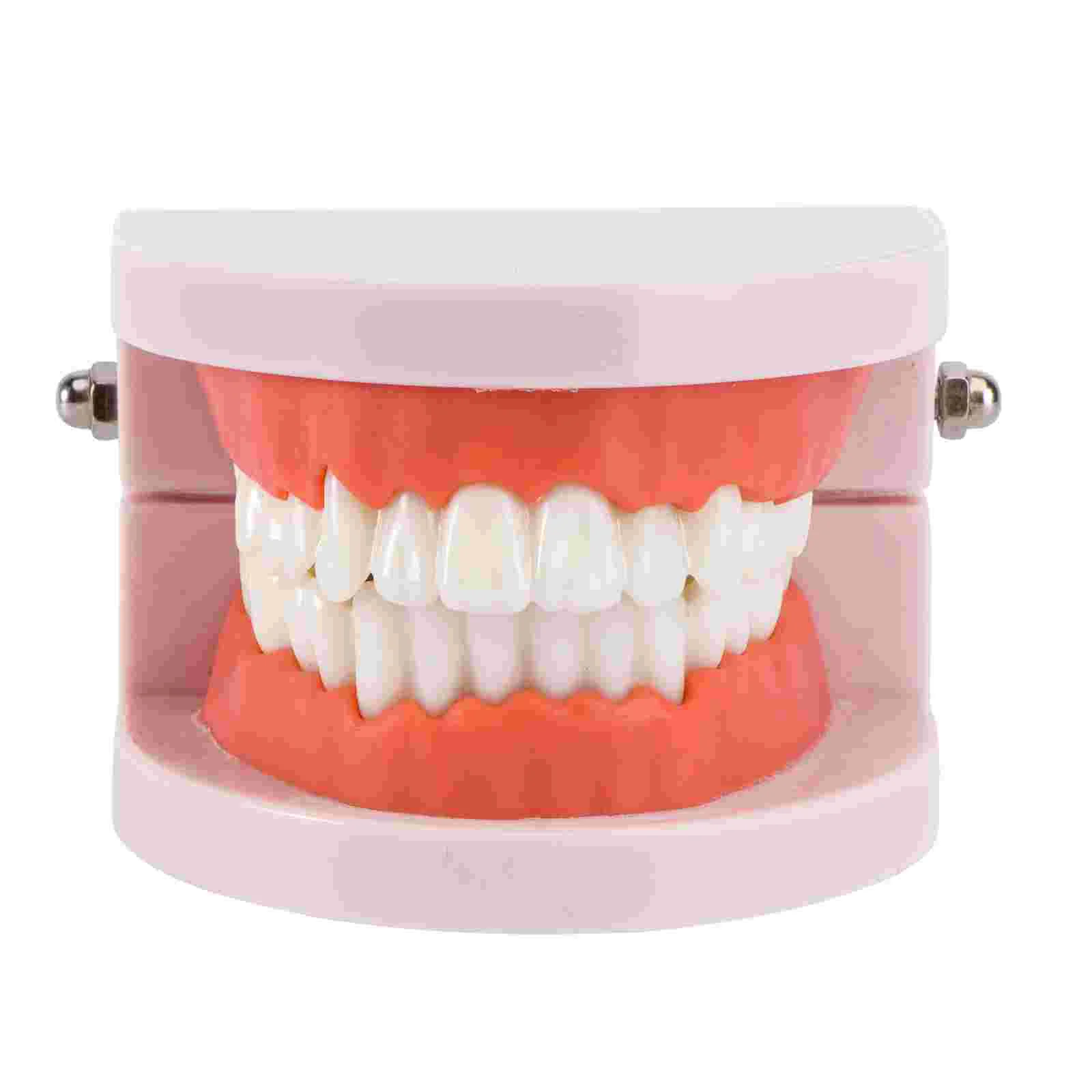 Модель для обучения зубам, Поддельные Детские модели для орального рота, демонстрация анализа на образование, стандартные обучающие игрушк...
Модель для обучения зубам, Поддельные Детские модели для орального рота, демонстрация анализа на образование, стандартные обучающие игрушк...