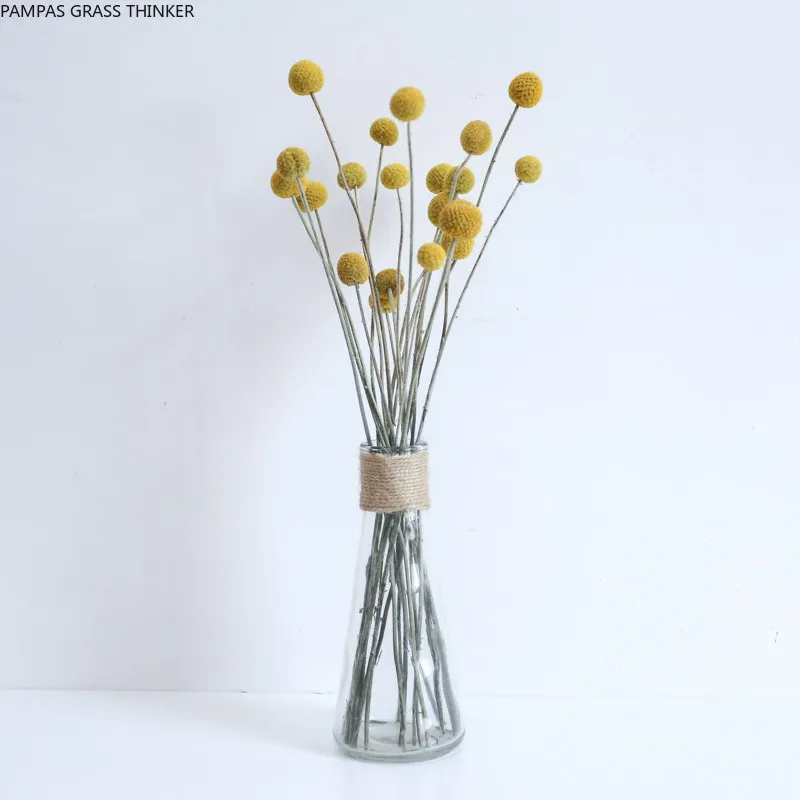 15pcs Floral Decoration Gift Accessories Billy Ball Home Dried Flower Wedding Large Bouquet Natural Party NO Vase
15pcs Floral Decoration Gift Accessories Billy Ball Home Dried Flower Wedding Large Bouquet Natural Party NO Vase