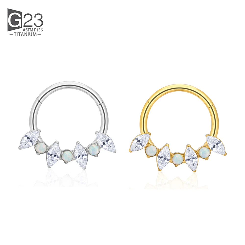 F136 Titanium Nose Ring Body Jewelry CZ Pave Face Hinged Segment Hoop Nose Ring Clicker Labret Ear Tragus Cartilage Piercing
F136 Titanium Nose Ring Body Jewelry CZ Pave Face Hinged Segment Hoop Nose Ring Clicker Labret Ear Tragus Cartilage Piercing