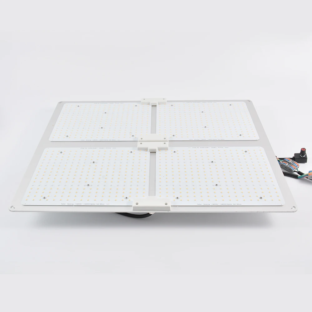 Lm301b 5 X 5 Lm 301 H Uvb Grow Ligts Chip Grow Light Led Strip High Power with Dimmer
Lm301b 5 X 5 Lm 301 H Uvb Grow Ligts Chip Grow Light Led Strip High Power with Dimmer