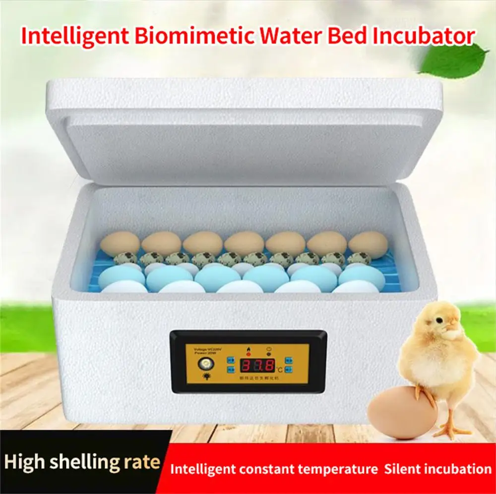Bird 32 Eggs EU Incubation Quail Hatcher Egg Incubator Pigeon Automatic Chicken Goose Waterbed Plug Smart Machine Incubator
Bird 32 Eggs EU Incubation Quail Hatcher Egg Incubator Pigeon Automatic Chicken Goose Waterbed Plug Smart Machine Incubator