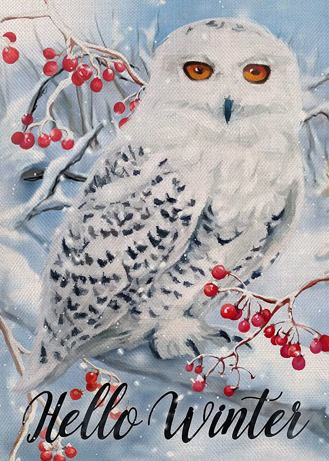 Hello Winter Owl Red Berries Small Garden Flag Snow House Yard Lawn Decorative Flag Tree Branches Home Outside Decoration
Hello Winter Owl Red Berries Small Garden Flag Snow House Yard Lawn Decorative Flag Tree Branches Home Outside Decoration