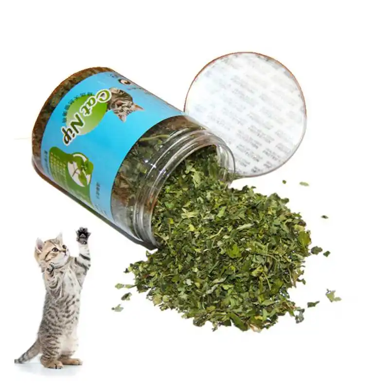 Healthy Cat Catnip Toys Cat Candy Licking Snacks Nutrition Catnip Snack Nutrition Energy Kitten Cat Toy 10/20/30g Cat Supplies
Healthy Cat Catnip Toys Cat Candy Licking Snacks Nutrition Catnip Snack Nutrition Energy Kitten Cat Toy 10/20/30g Cat Supplies