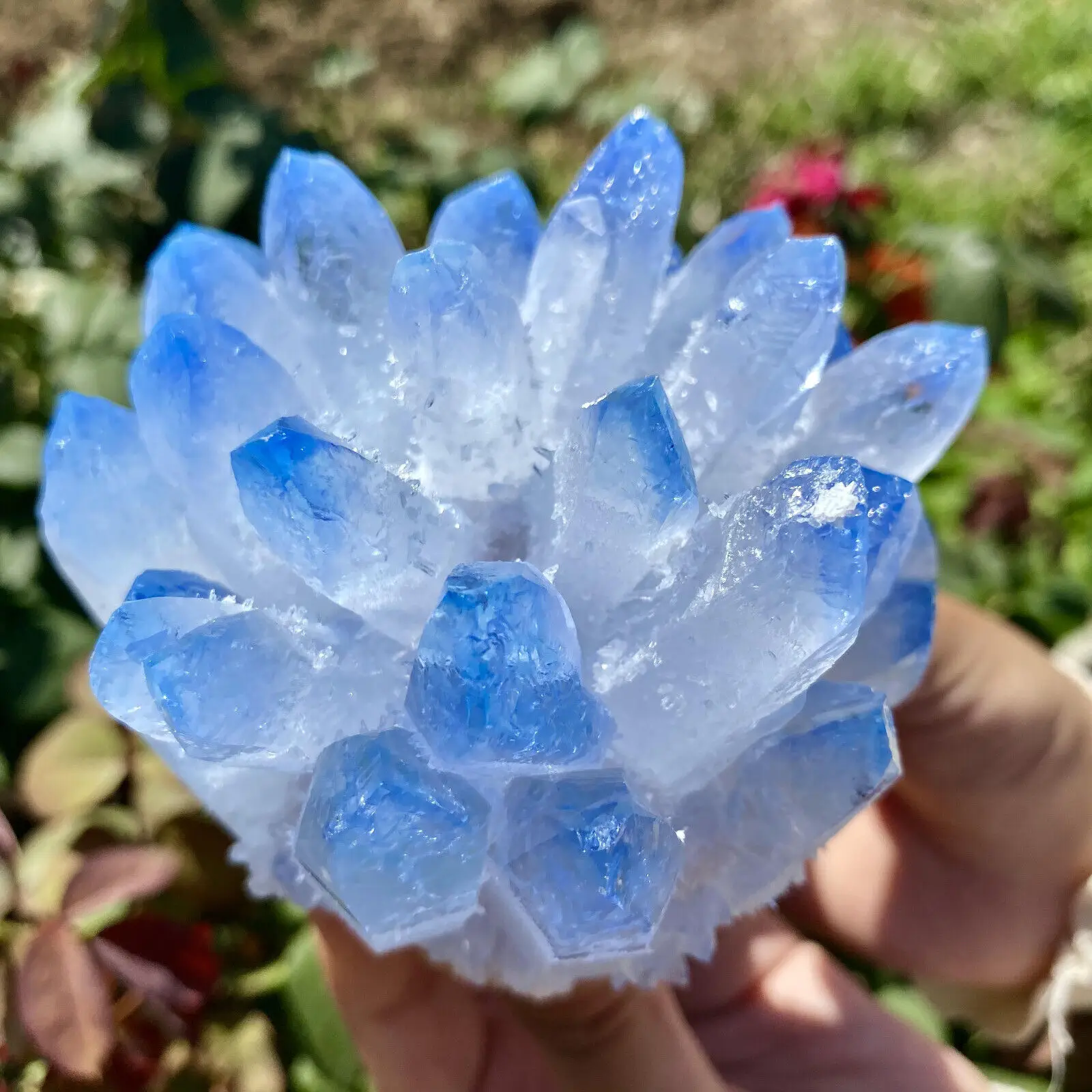 New Discovery! Restoration of Sky Blue Phantom Quartz Crystal Cluster Mineral Ore Specimen Energy Healing
New Discovery! Restoration of Sky Blue Phantom Quartz Crystal Cluster Mineral Ore Specimen Energy Healing