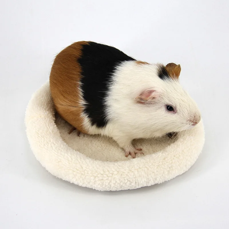 S-L Winter Soft Fleece Guinea Pig Bed Small Animal Cage Mini Mat Hamster Rat Sleeping Bed Hamster House Sofa Hedgehog Pet Supply
S-L Winter Soft Fleece Guinea Pig Bed Small Animal Cage Mini Mat Hamster Rat Sleeping Bed Hamster House Sofa Hedgehog Pet Supply