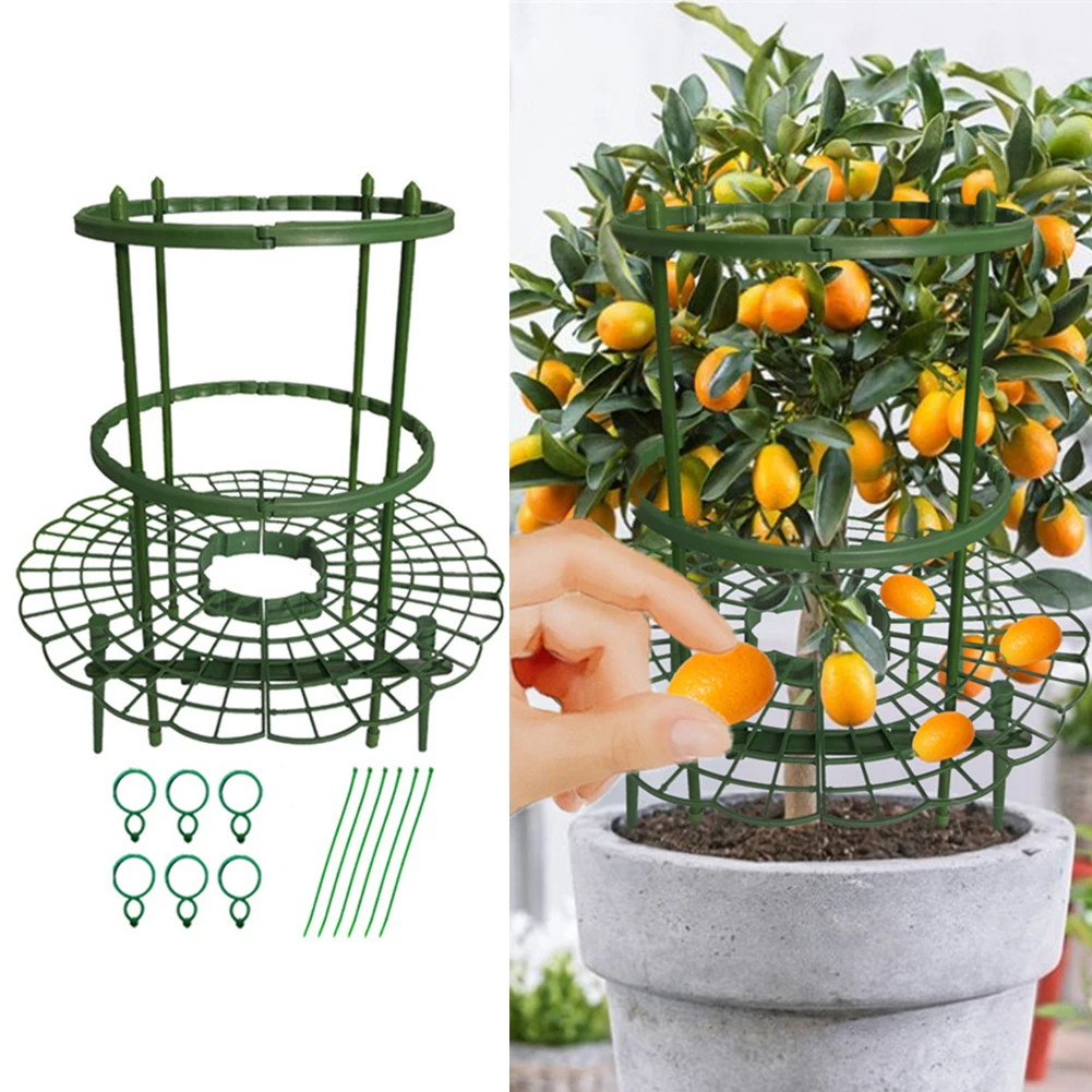 Climbing Vine Bracket Plant Vegetable Potted Support Frame Plastic Flower Decor Plant Trellis Bracket Fixed Shape Support Pile
Climbing Vine Bracket Plant Vegetable Potted Support Frame Plastic Flower Decor Plant Trellis Bracket Fixed Shape Support Pile