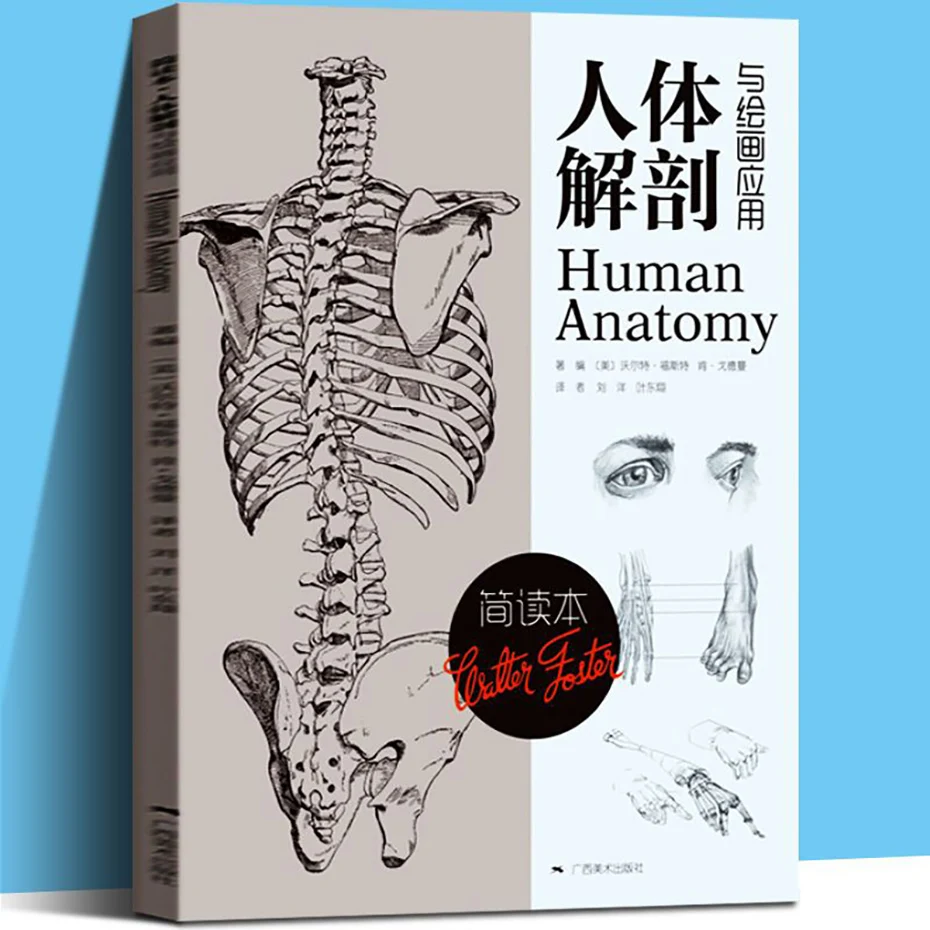 Human Anatomy and Drawing Applications (Short Reading Book) Sketching Geometric Form Master Copy Character Sketch Books
Human Anatomy and Drawing Applications (Short Reading Book) Sketching Geometric Form Master Copy Character Sketch Books
