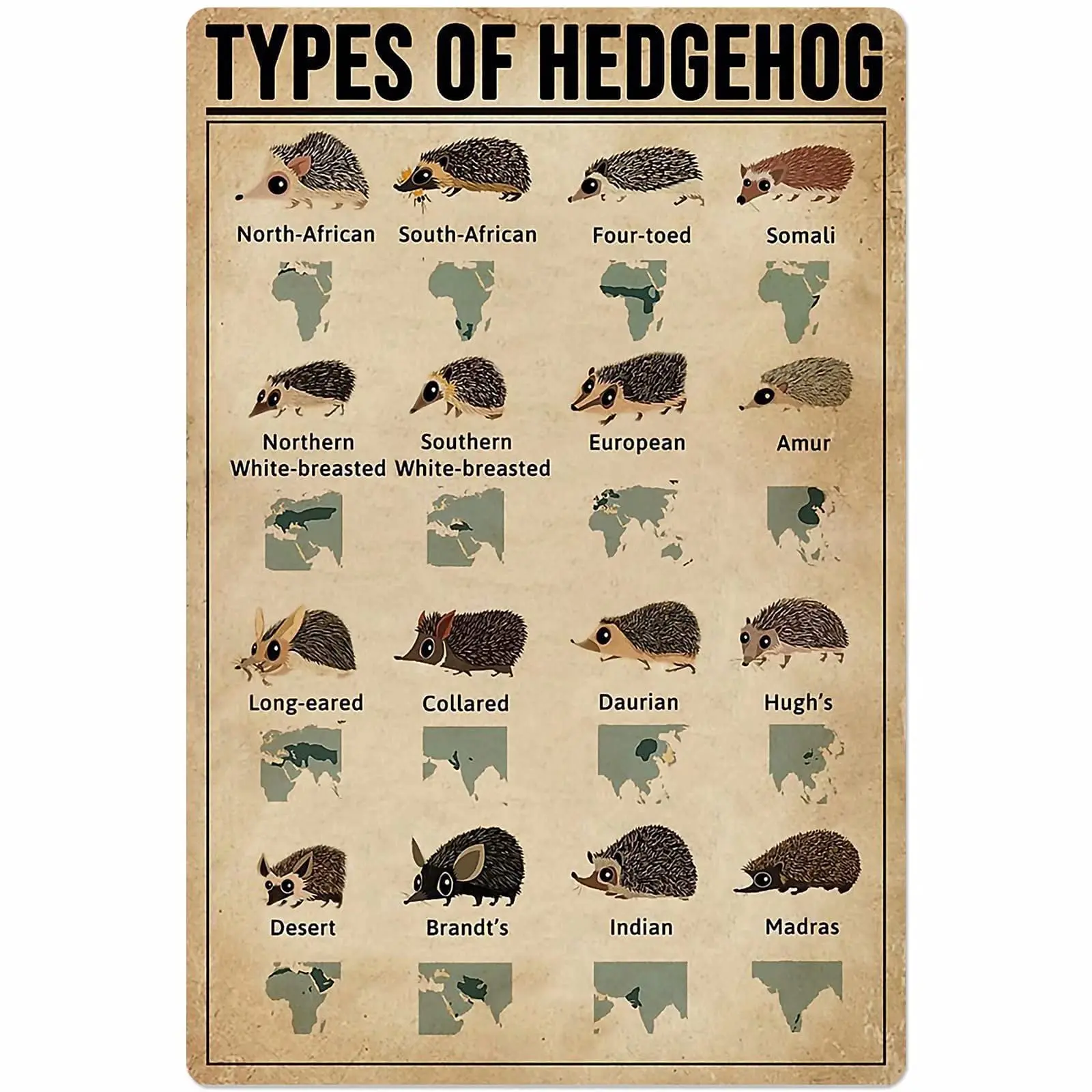 Veidsuh Types of Hedgehog Metal Sign Poster Tin Sign Metal Sign Metal Tin Sign Metal Plaque
Veidsuh Types of Hedgehog Metal Sign Poster Tin Sign Metal Sign Metal Tin Sign Metal Plaque