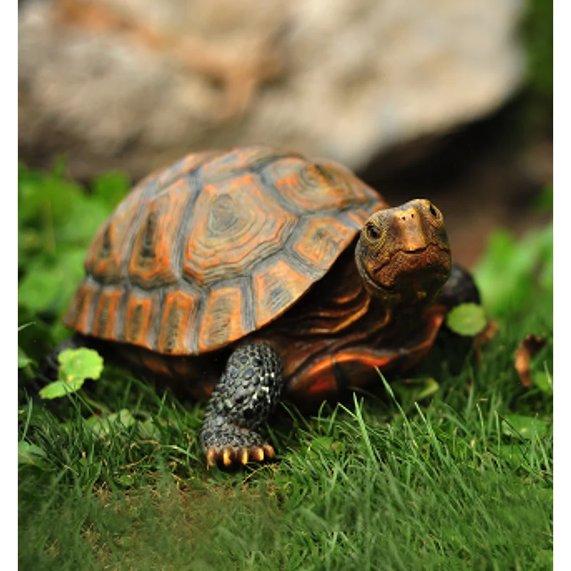 Cute Resin Tortoise Statue Outdoor Garden Pond Store Bonsai Decorative Animal Sculpture For Home Garden Decor Ornament
Cute Resin Tortoise Statue Outdoor Garden Pond Store Bonsai Decorative Animal Sculpture For Home Garden Decor Ornament