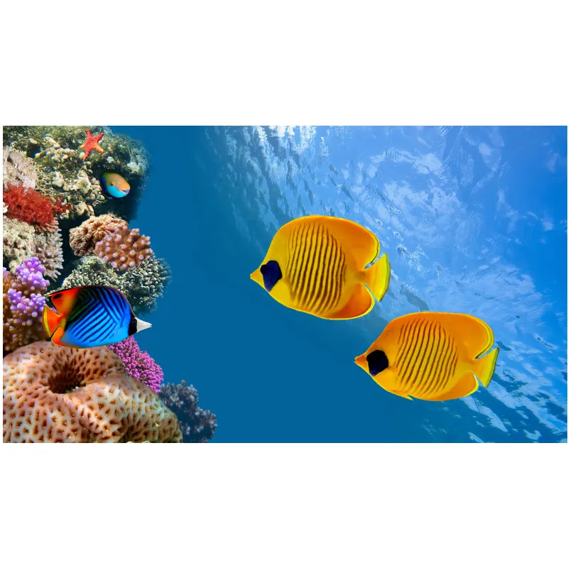 Diamond Painting Animal Fish Coral Sea 5d Diy Mosaic Full Square Round Drill Diamant Of Rhinestone Daimond Embroidery Pictures
Diamond Painting Animal Fish Coral Sea 5d Diy Mosaic Full Square Round Drill Diamant Of Rhinestone Daimond Embroidery Pictures