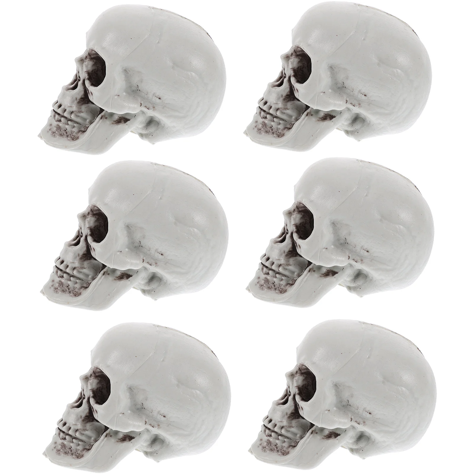 Party Accessories Head Charms Simulation Models Mini Table Small Skeletons Halloween Decors Flower Pots
Party Accessories Head Charms Simulation Models Mini Table Small Skeletons Halloween Decors Flower Pots