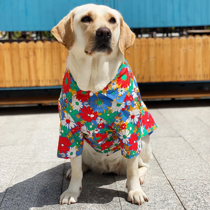 Big Dog Clothes Summer Large Dog Shirt Corgi Samoyed Husky Labrador Golden Retriever Pet Costume Apparel Dog Products
Big Dog Clothes Summer Large Dog Shirt Corgi Samoyed Husky Labrador Golden Retriever Pet Costume Apparel Dog Products