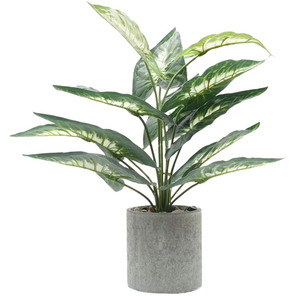 Widely- Realistic Fake Bonsai Ornament Office Fake Bonsai Simulated Bonsai for Home Decor Gift Option
Widely- Realistic Fake Bonsai Ornament Office Fake Bonsai Simulated Bonsai for Home Decor Gift Option