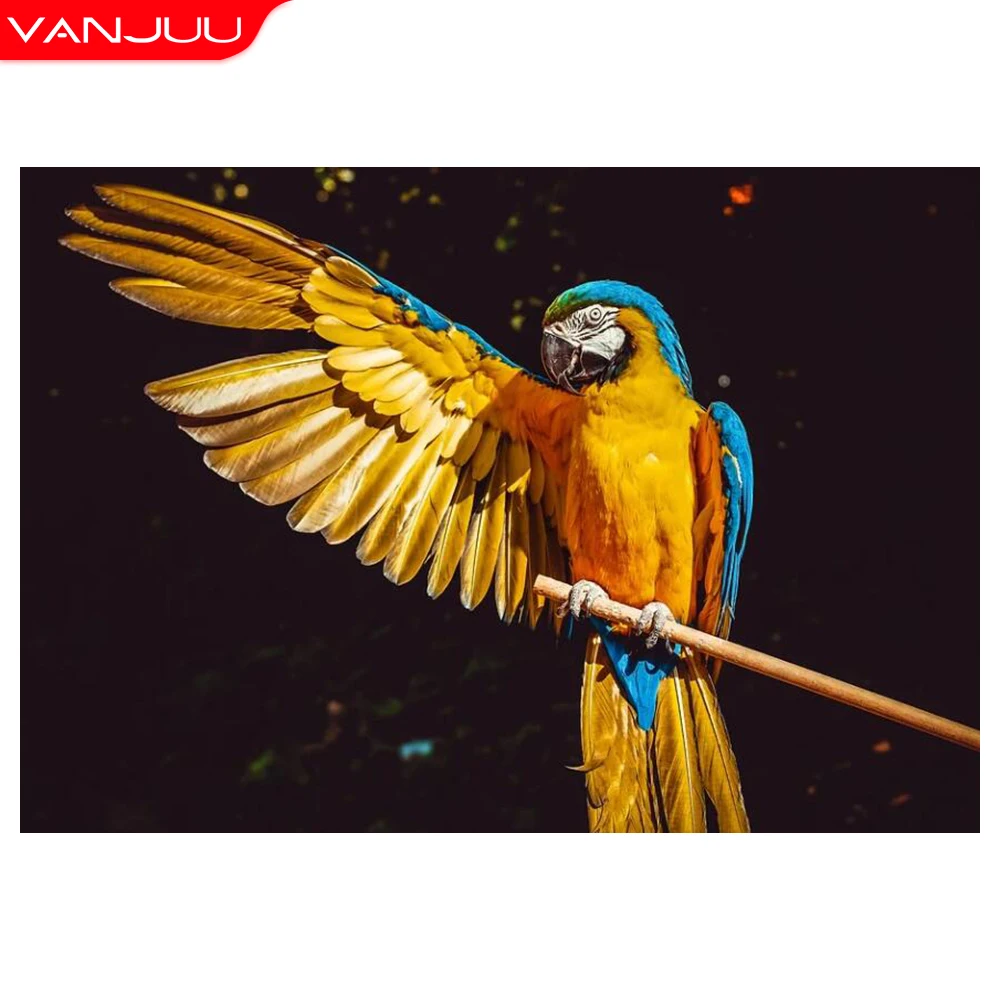 5D Diy Diamond Painting Bird Diamond Mosaic Animal Rhinestone Embroidery Painting Home Decor Gift
5D Diy Diamond Painting Bird Diamond Mosaic Animal Rhinestone Embroidery Painting Home Decor Gift