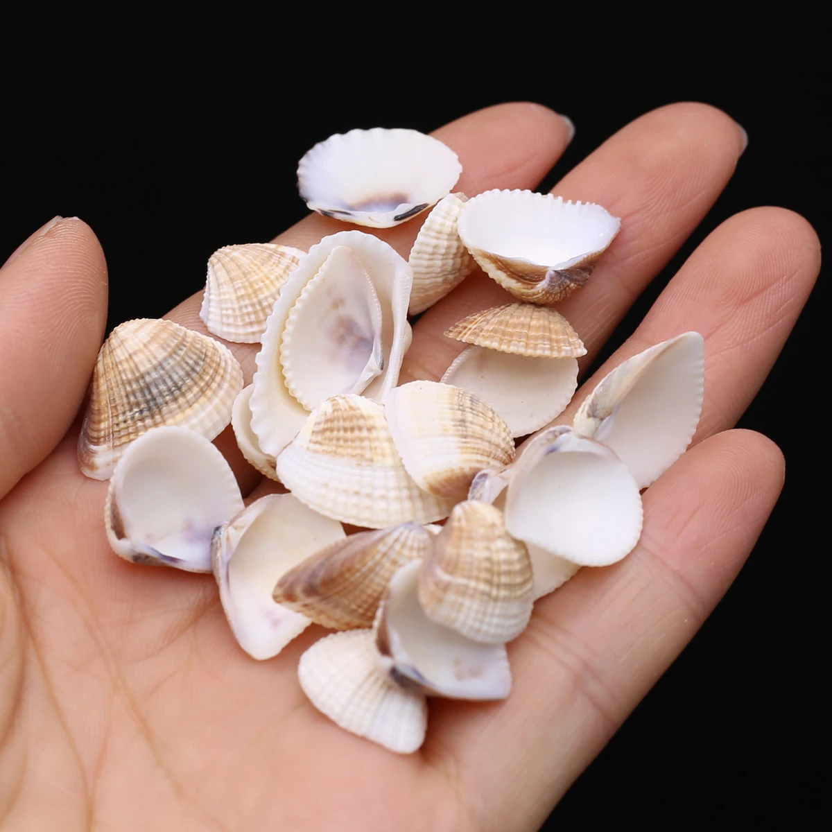 Fine Natural Sea Shell Beads White Loose Spacer Bead for Beach Jewelry Making Diy Trendy Necklace Bracelet Accessories
Fine Natural Sea Shell Beads White Loose Spacer Bead for Beach Jewelry Making Diy Trendy Necklace Bracelet Accessories