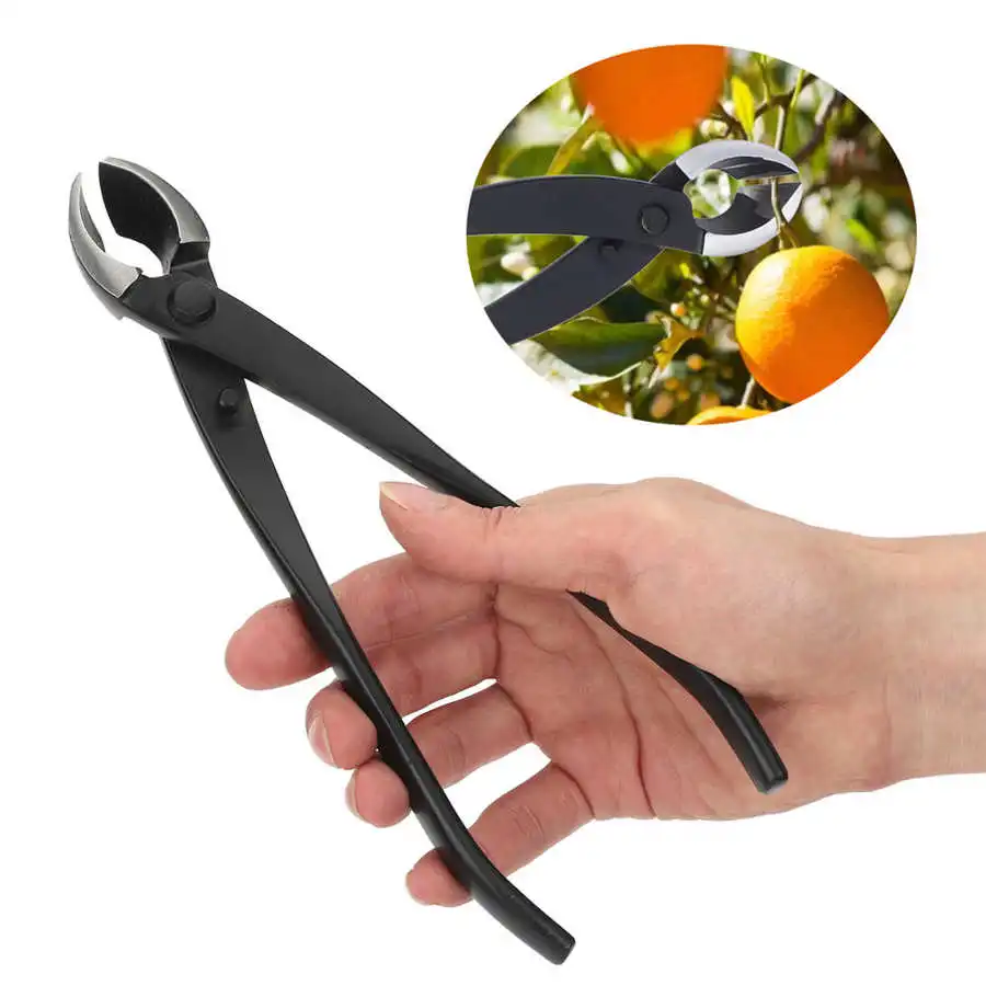 21cm Bonsai Cutter Concave Branch Cutter Composite Steel Material Round Edge Tool for Flowers for Fruit Trees Garden Tools
21cm Bonsai Cutter Concave Branch Cutter Composite Steel Material Round Edge Tool for Flowers for Fruit Trees Garden Tools