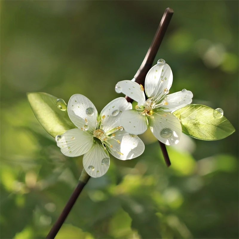 Heat Shrink Flower Hairpin Step Shake Super Simulation Flower Ancient Style Hanfu Hair Stick Hair Accessories Simple Headpiece
Heat Shrink Flower Hairpin Step Shake Super Simulation Flower Ancient Style Hanfu Hair Stick Hair Accessories Simple Headpiece