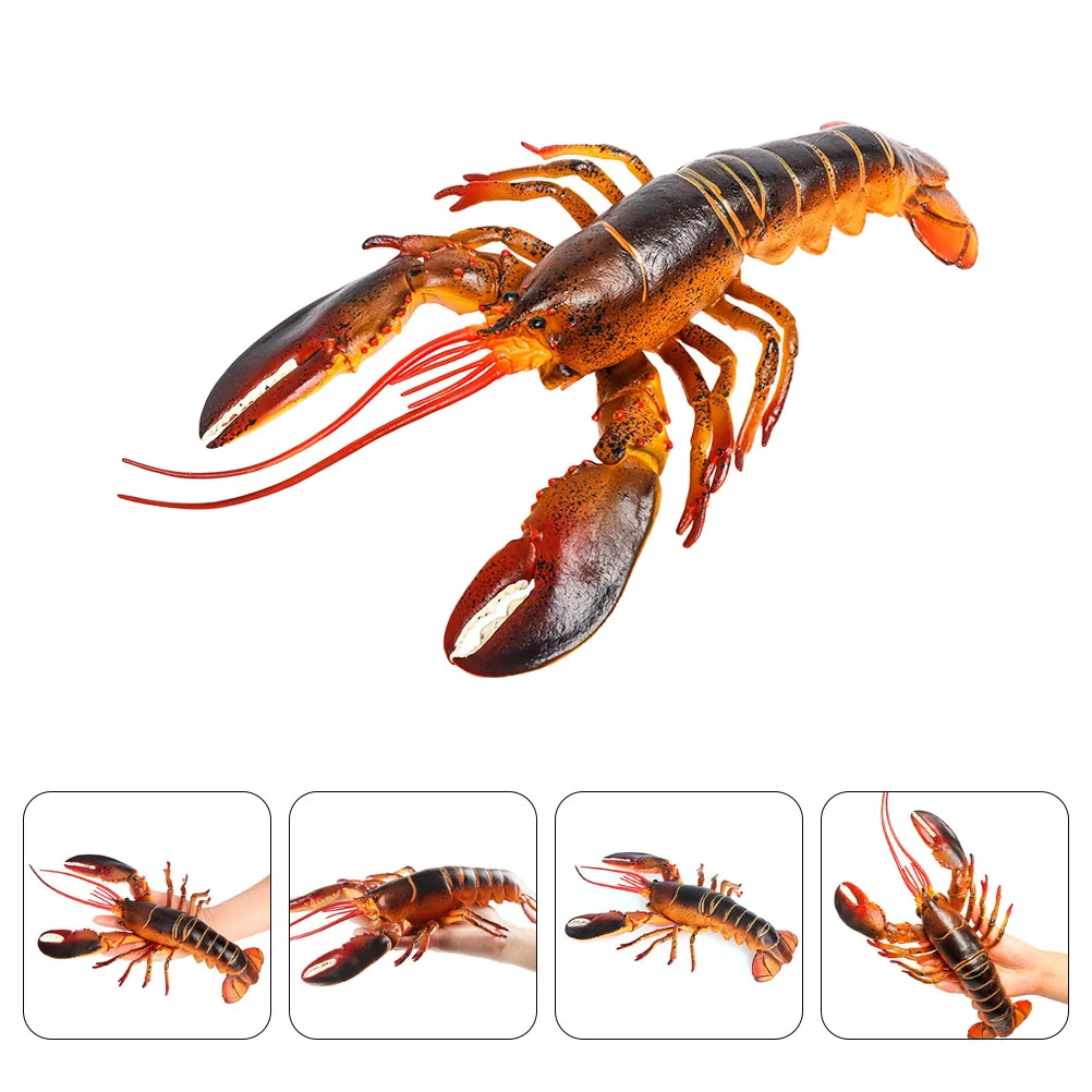 Realistic Simulation Artificial Lobster Ornament Lobster Recognition Model Lobster Toy Lobster Model Decor
Realistic Simulation Artificial Lobster Ornament Lobster Recognition Model Lobster Toy Lobster Model Decor