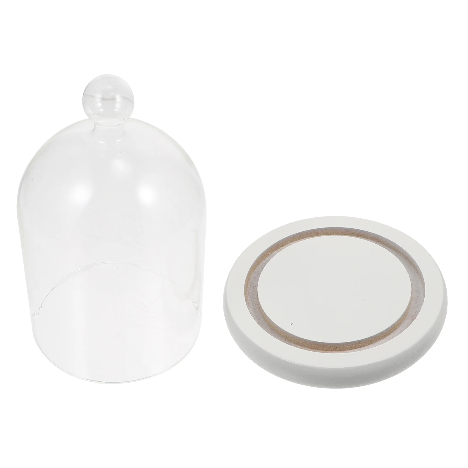 Glass Cover Display Desert Rose Container High Borosilicate Wedding Eternal Flower Snack Tray Lid
Glass Cover Display Desert Rose Container High Borosilicate Wedding Eternal Flower Snack Tray Lid