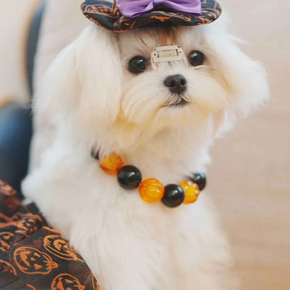 Spooky Halloween Pet Dress Up Costume Props Holiday Supplies Puppy Cat Necklace Sturdy Durable Dog Collar Small Dog Accessories
Spooky Halloween Pet Dress Up Costume Props Holiday Supplies Puppy Cat Necklace Sturdy Durable Dog Collar Small Dog Accessories