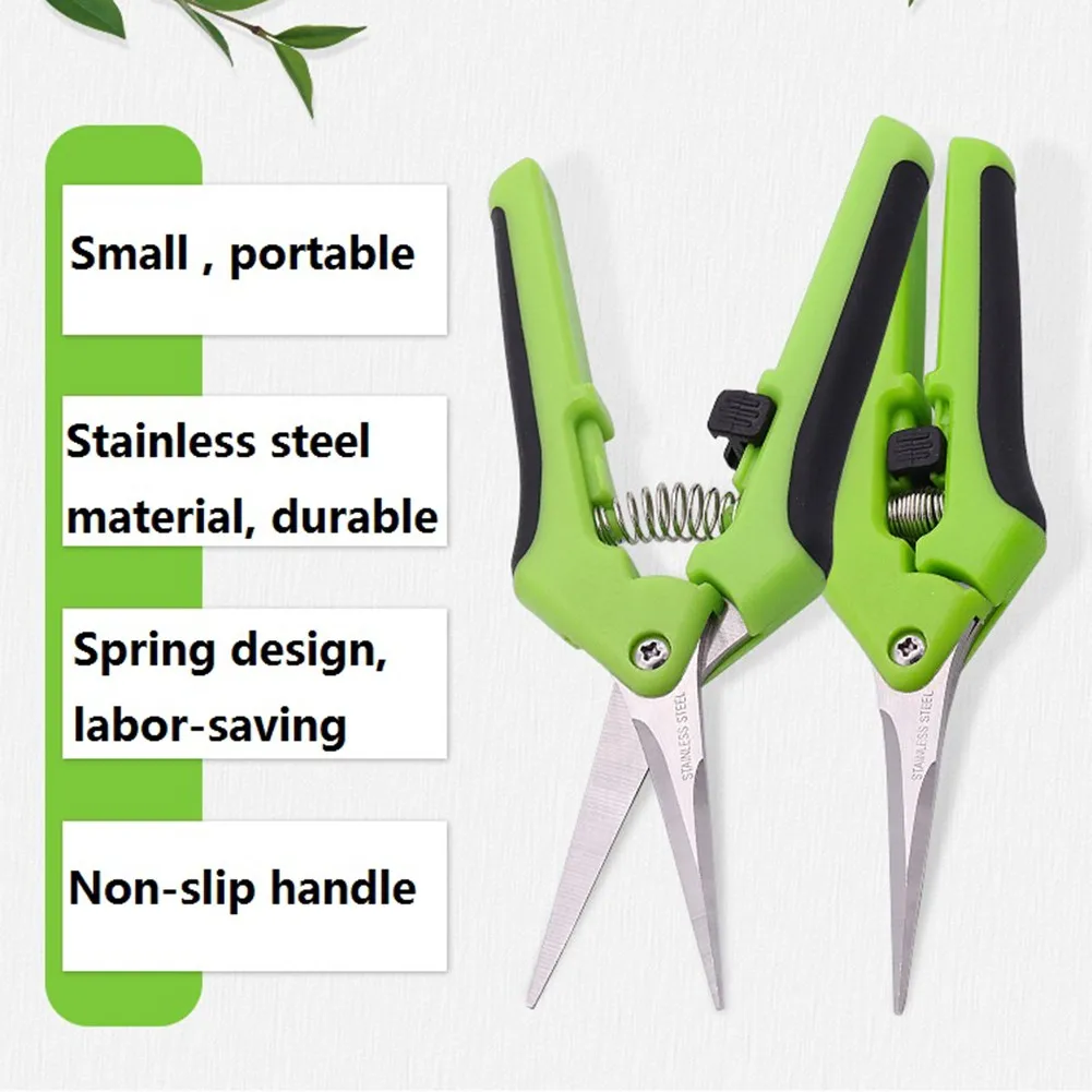 Pruning Cut 165mm Secateurs Straight/elbow Blade Pruner Bonsai Shear Leaf Trimmer Shear Scissor Fruit Flower Picking Gaeden Tool
Pruning Cut 165mm Secateurs Straight/elbow Blade Pruner Bonsai Shear Leaf Trimmer Shear Scissor Fruit Flower Picking Gaeden Tool