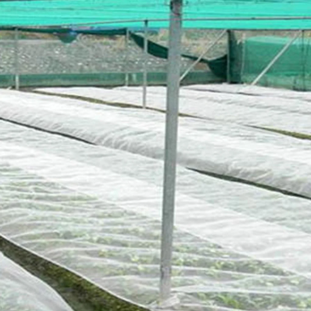 Vegetables Plant Protection Net Polyethylene Plant Crop Mesh Net Anti Insects Netting Vegetables Plant Protection Net
Vegetables Plant Protection Net Polyethylene Plant Crop Mesh Net Anti Insects Netting Vegetables Plant Protection Net
