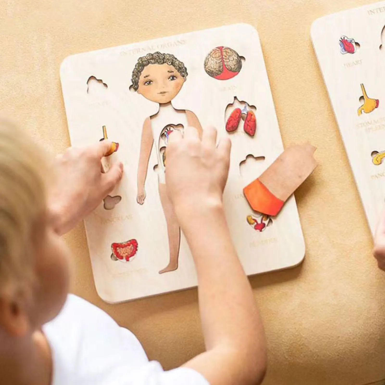 Wooden Human Body Puzzle For Kids Toddlers Puzzles Human Body Wooden Puzzles Human Anatomy Play Set Educational Toys For 3 4 5 6
Wooden Human Body Puzzle For Kids Toddlers Puzzles Human Body Wooden Puzzles Human Anatomy Play Set Educational Toys For 3 4 5 6