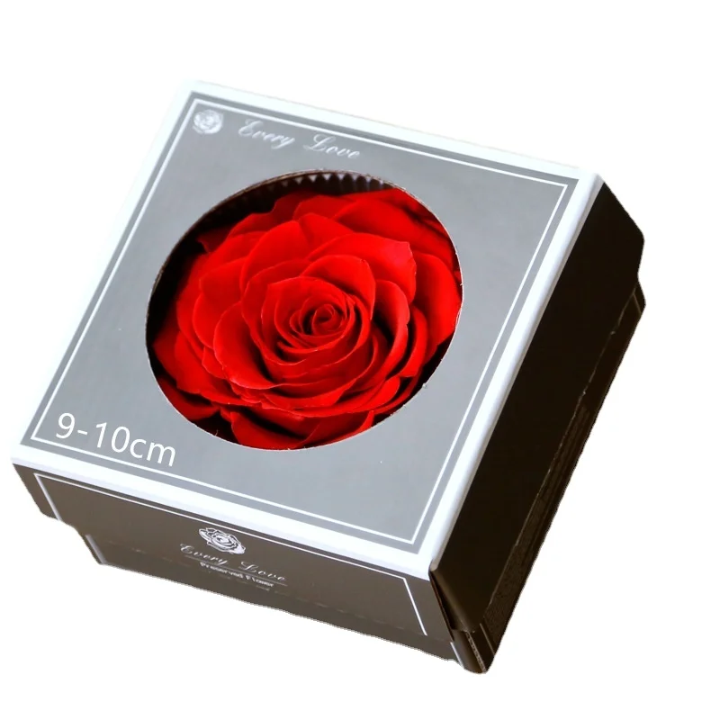 Preserved Fresh Flower Wedding Decoration Valentine's Day 9-10cm 1 Giant Rose Perianth 1 Flower/Box
Preserved Fresh Flower Wedding Decoration Valentine's Day 9-10cm 1 Giant Rose Perianth 1 Flower/Box