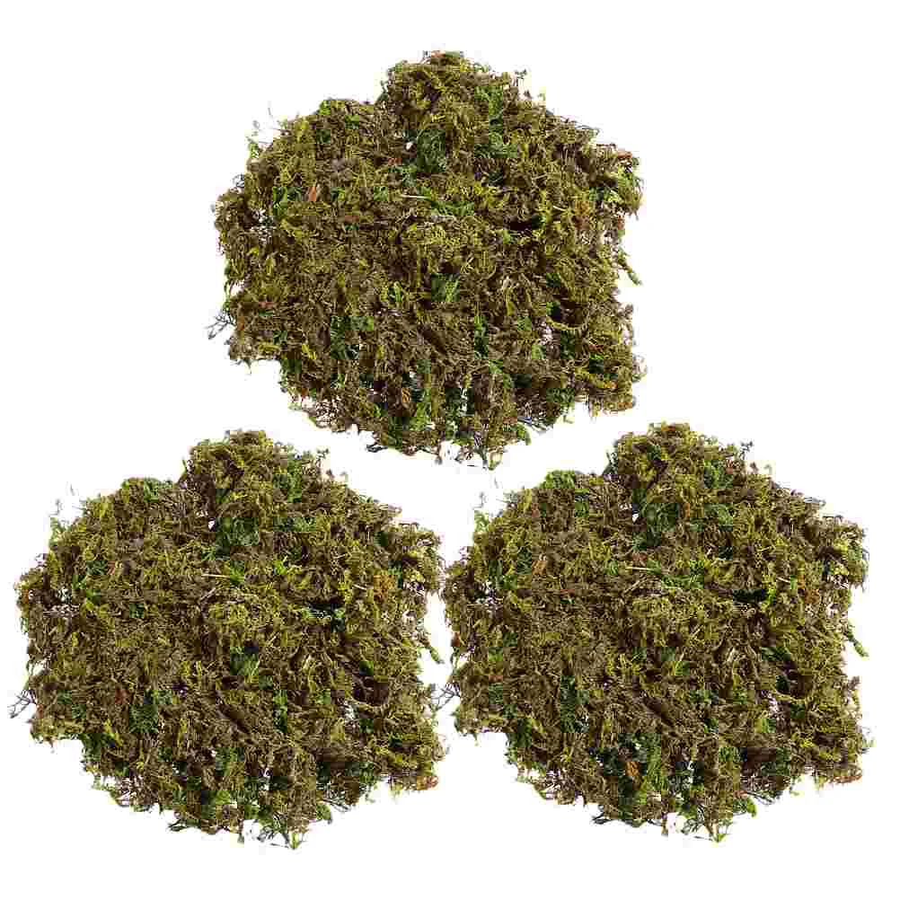 Moss Greenartificial Fakepreservedgarden Simulation Faux Flower Diy Craft Potted Floral Decorative Pot Lichen Crafts Grass Decor
Moss Greenartificial Fakepreservedgarden Simulation Faux Flower Diy Craft Potted Floral Decorative Pot Lichen Crafts Grass Decor
