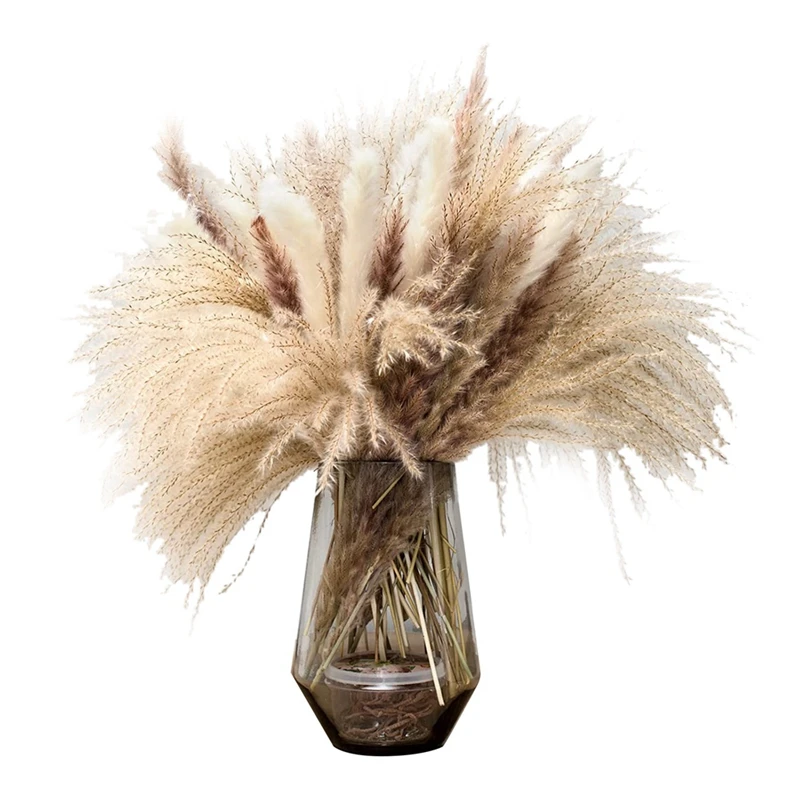 Сушеная пампасная трава, Натуральные Сушеные пампасы для цветочных композиций для домашнего декора в стиле бохо, пушистые качающиеся расте...
Сушеная пампасная трава, Натуральные Сушеные пампасы для цветочных композиций для домашнего декора в стиле бохо, пушистые качающиеся расте...