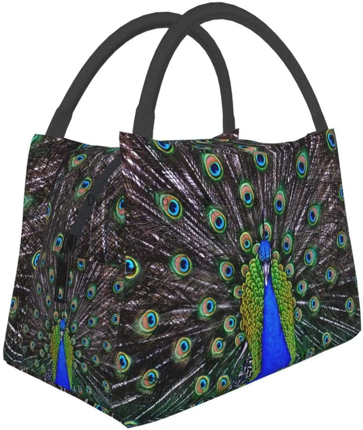 Portable Insulated Lunch Bag, Elegant Peacock Waterproof Tote Bento Bag For Office School Hiking Beach Picnic Fishing
Portable Insulated Lunch Bag, Elegant Peacock Waterproof Tote Bento Bag For Office School Hiking Beach Picnic Fishing