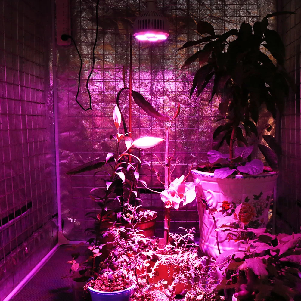 LED Phyto Grow Light Bulbs Full Spectrum Phytolamp E27 Plant Bulb UV IR Lamp For Greenhouse Flower Seeds Hydroponic Growth Light
LED Phyto Grow Light Bulbs Full Spectrum Phytolamp E27 Plant Bulb UV IR Lamp For Greenhouse Flower Seeds Hydroponic Growth Light