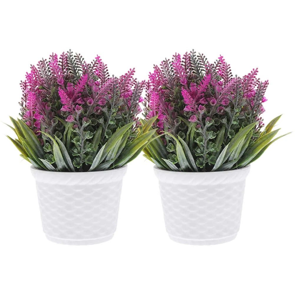 2 Pcs Fake Bonsai Potted Plants Artificial Outdoor Ornaments Lavender Decorations Party Small Desktop Adornments
2 Pcs Fake Bonsai Potted Plants Artificial Outdoor Ornaments Lavender Decorations Party Small Desktop Adornments