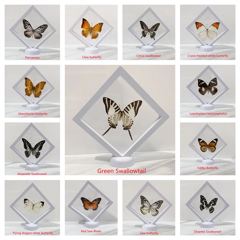 1PCS Butterfly Specimen Suspended Soft Film Packaging Box Butterfly Specimen Crafts Gifts Home Decoration Decoration Ornaments
1PCS Butterfly Specimen Suspended Soft Film Packaging Box Butterfly Specimen Crafts Gifts Home Decoration Decoration Ornaments