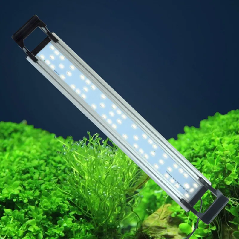 Aquarium LED Light with Timer Slim Fish Tank Aquatic Plant Grow Lighting Waterproof Bright Clip Lamp Red Blue LED for Fish Tank
Aquarium LED Light with Timer Slim Fish Tank Aquatic Plant Grow Lighting Waterproof Bright Clip Lamp Red Blue LED for Fish Tank