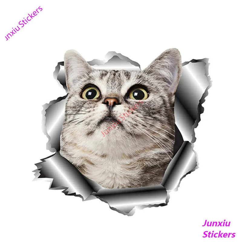 Lovely Car Sticker Cute Pet Cat Vinyl for Window Bumper Auto Laptop Motorcycle Uv Protection Auto Accessories KK13*12cm
Lovely Car Sticker Cute Pet Cat Vinyl for Window Bumper Auto Laptop Motorcycle Uv Protection Auto Accessories KK13*12cm