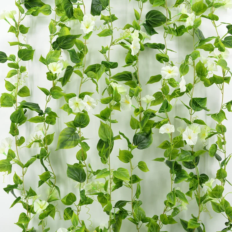 Single Branch Simulated Fake Green Plants Artificial Rattan Trumpet Flower Room Decoration Wall Hanging Petunia Plastic Rattan
Single Branch Simulated Fake Green Plants Artificial Rattan Trumpet Flower Room Decoration Wall Hanging Petunia Plastic Rattan