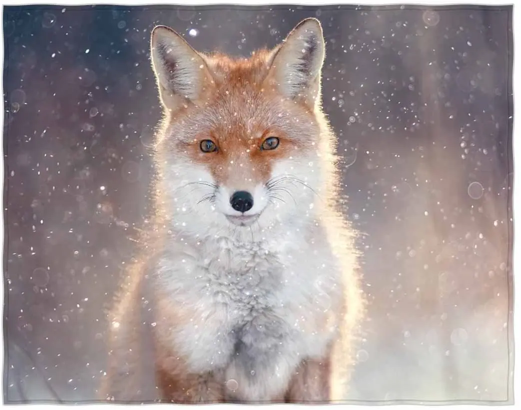 Inch Fox Print Super Soft Throw Blanket for Bed Couch Sofa Lightweight Travelling Camping Throw Size for Kids Adults All Season
Inch Fox Print Super Soft Throw Blanket for Bed Couch Sofa Lightweight Travelling Camping Throw Size for Kids Adults All Season