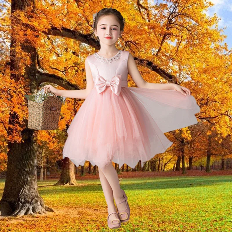 Girls' Birthday Party Tulle Dress Bow Bridesmaid Dress Children'S Party Piano Performance Princess White Pink Children'S Dress
Girls' Birthday Party Tulle Dress Bow Bridesmaid Dress Children'S Party Piano Performance Princess White Pink Children'S Dress