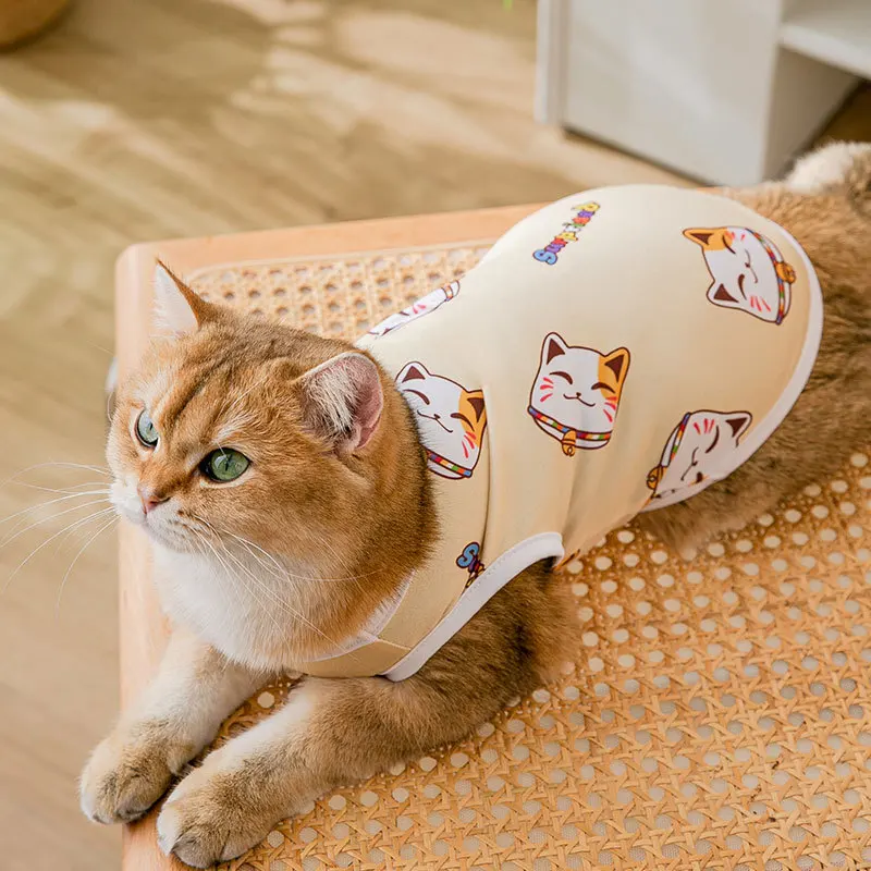 Всесезонные пуловеры для кошек, кошки, Кэти, Сфинкс, мягкие флисовые толстовки с капюшоном для щенков и собак, одежда для щенков, Прямая пост...
Всесезонные пуловеры для кошек, кошки, Кэти, Сфинкс, мягкие флисовые толстовки с капюшоном для щенков и собак, одежда для щенков, Прямая пост...
