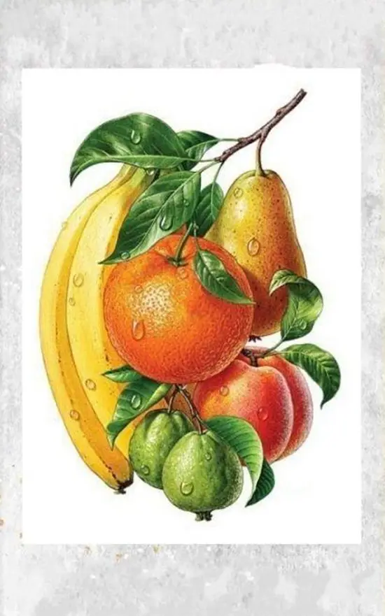 Cross Stitch Kits Cross-stitch Kit embroidery Threads for embroidery Set Christmas fruit Department banana pear apple 42-56
Cross Stitch Kits Cross-stitch Kit embroidery Threads for embroidery Set Christmas fruit Department banana pear apple 42-56