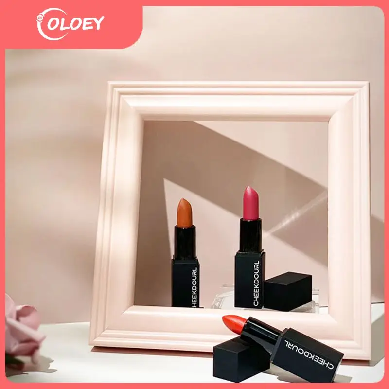 Square Tube Matte Lipstick Matte New Velvet Matte Texture Long Lasting Waterproof Moisturize Women Makeup High Quality
Square Tube Matte Lipstick Matte New Velvet Matte Texture Long Lasting Waterproof Moisturize Women Makeup High Quality