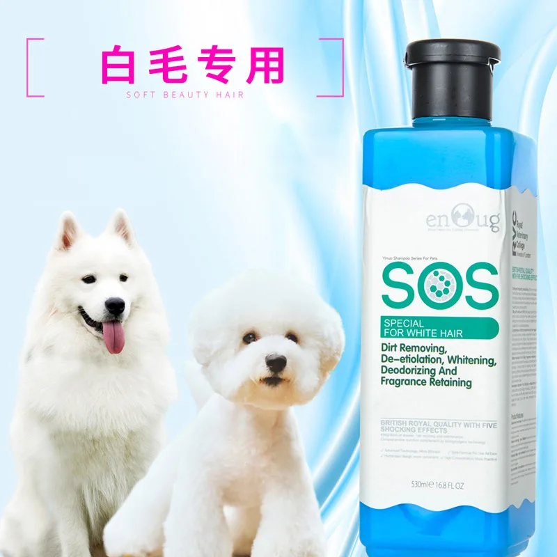 Специальный гель для душа SOS с белыми волосами для собак, Bichon Samoyed, шампунь для ванны для домашних животных, жидкость для ванны, белый Тедди
Специальный гель для душа SOS с белыми волосами для собак, Bichon Samoyed, шампунь для ванны для домашних животных, жидкость для ванны, белый Тедди